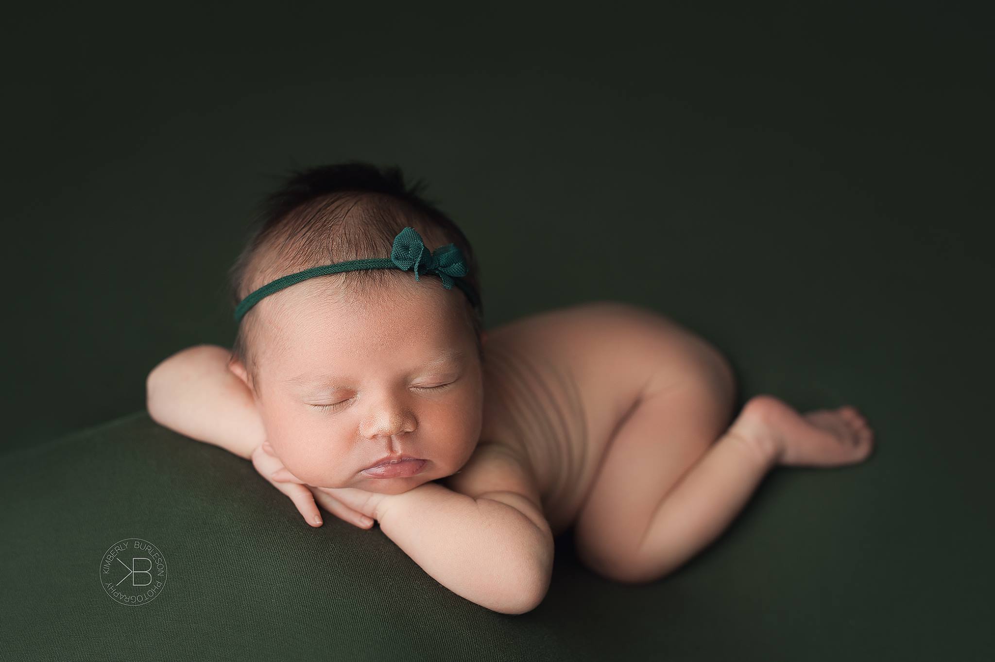 dog bed newborn photography